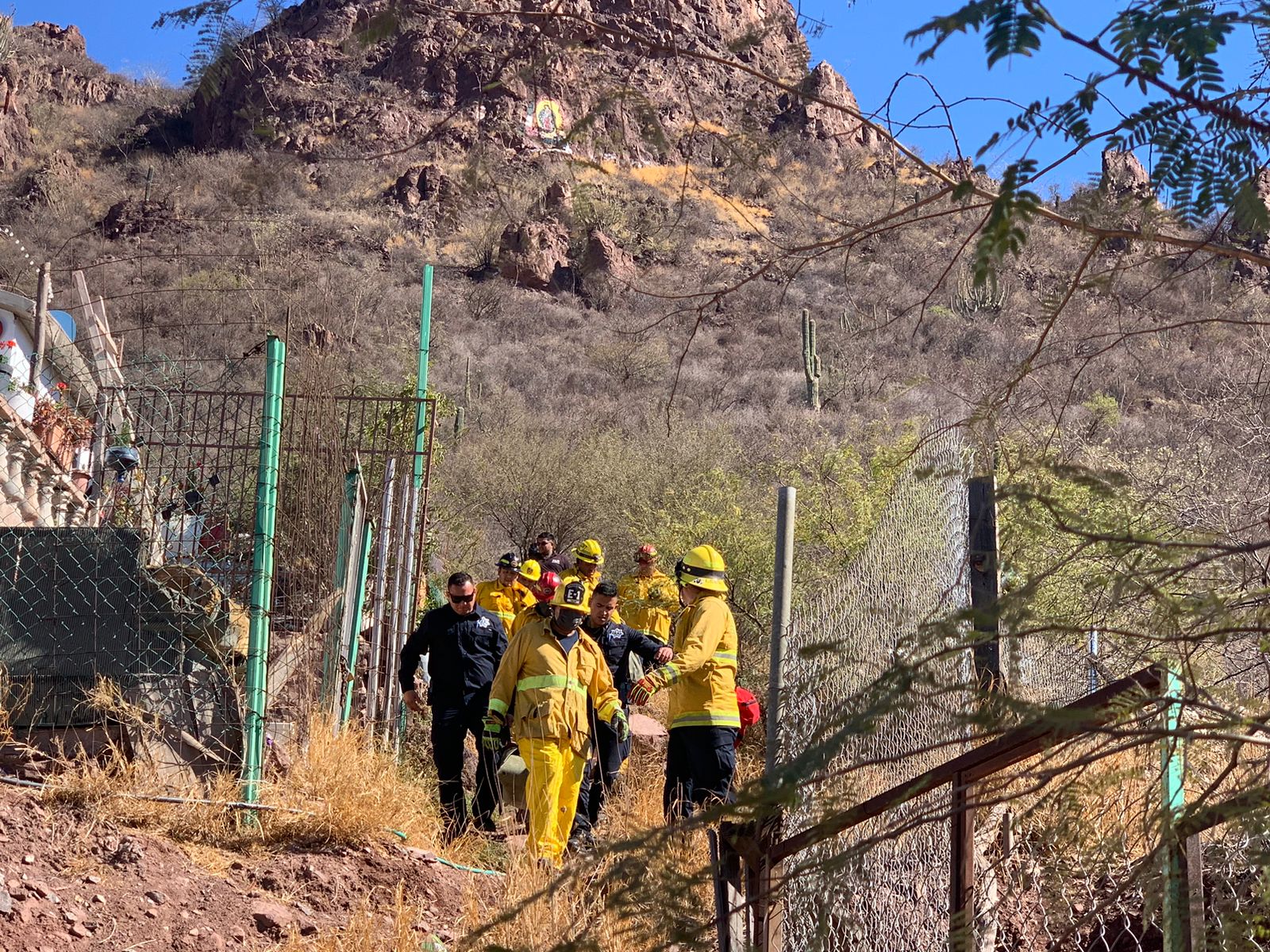 Cae sinaloense de cerro en Loma Linda