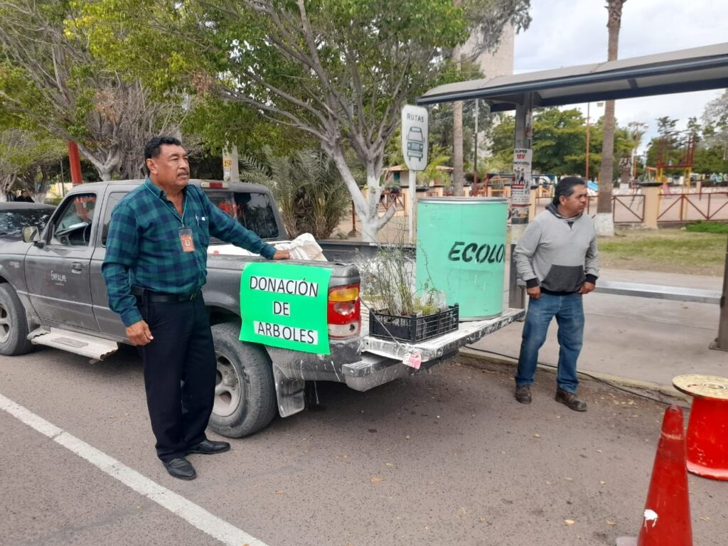 27 febrero dona arbolitos ecologia