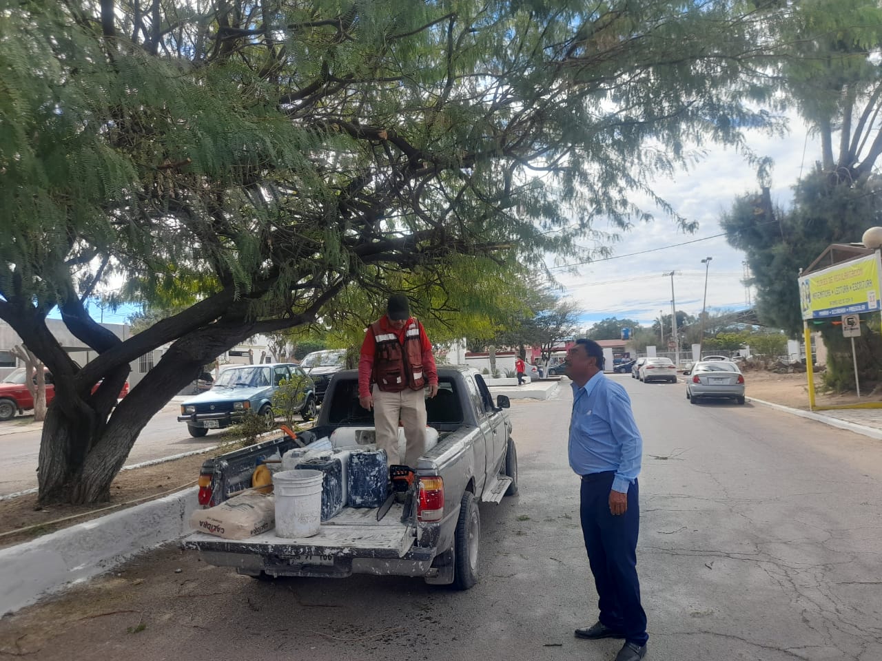 Trabaja Ecología Municipal en mejora de imagen urbana en la ciudad