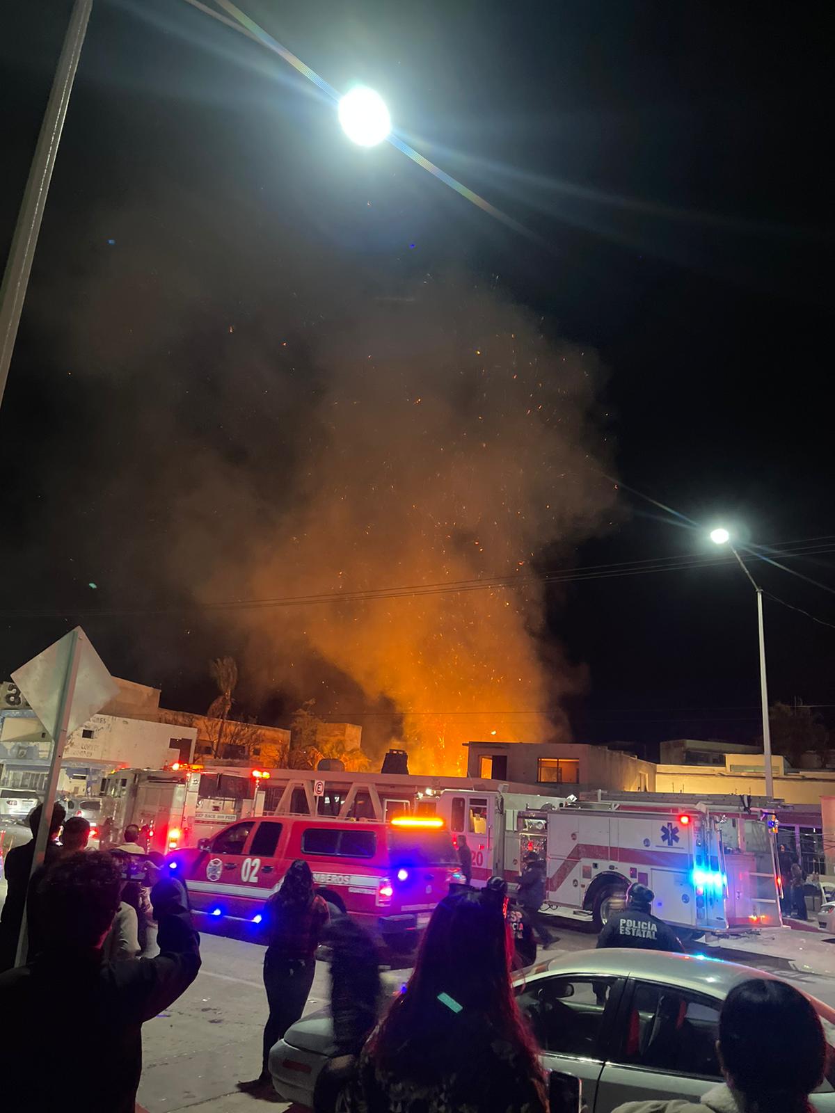 Se incendian palmas en la colonia Centro