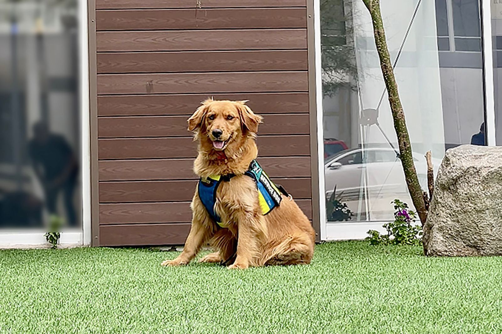 Golda, “La Canina Maravilla”, brindó su apoyó en un juicio por delitos sexuales y logró una sentencia ejemplar