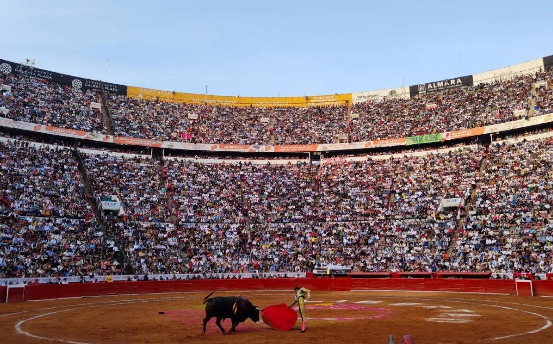Jueza aplazó su decisión sobre posible suspensión de corridas de toros en la Plaza México