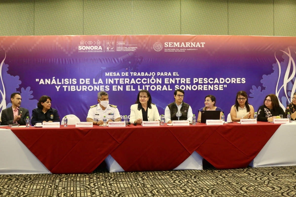 Realiza Sagarhpa mesa de trabajo sobre interacción entre pescadores y tiburones