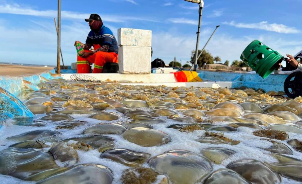 041f0a65 259e 4fac ac50 8dc4501fbee2