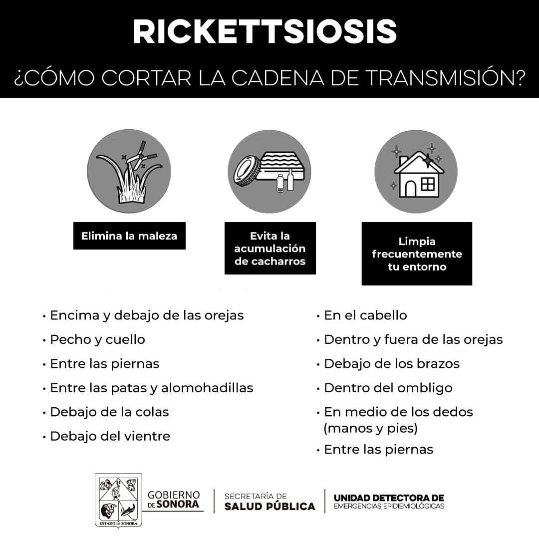 Defunciones por rickettsia disminuyen un 50 por ciento en Sonora