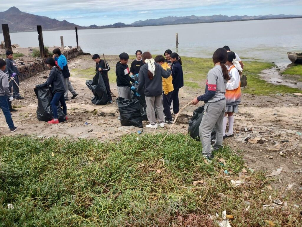 5 marzo participan alumnos en proteccion de manglares