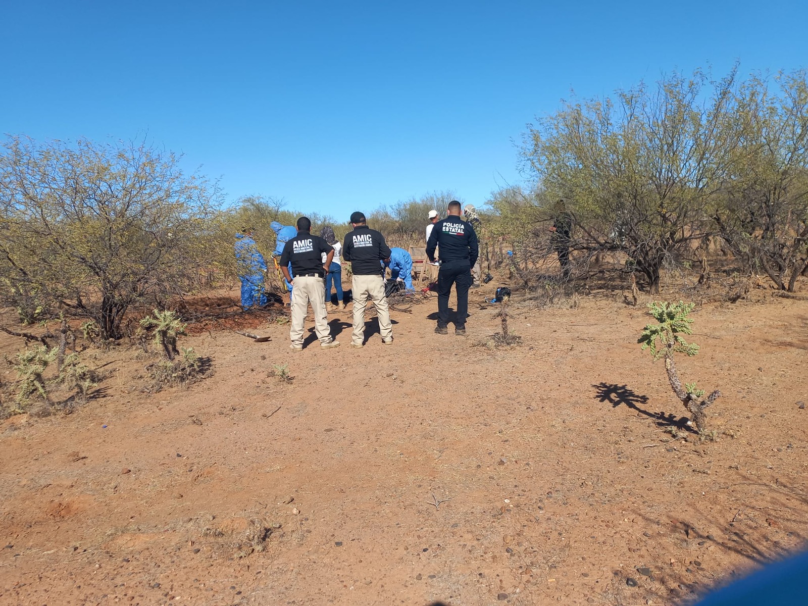 Localizan restos humanos en la Misa