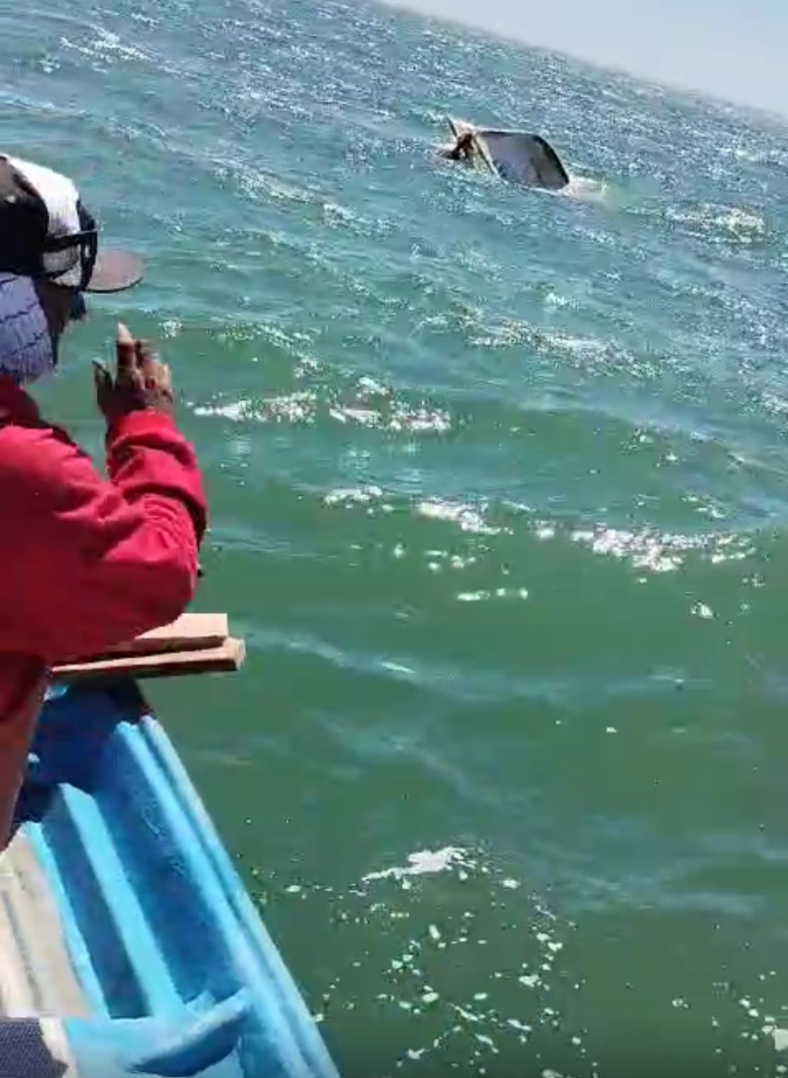 Se va a “pique” panga