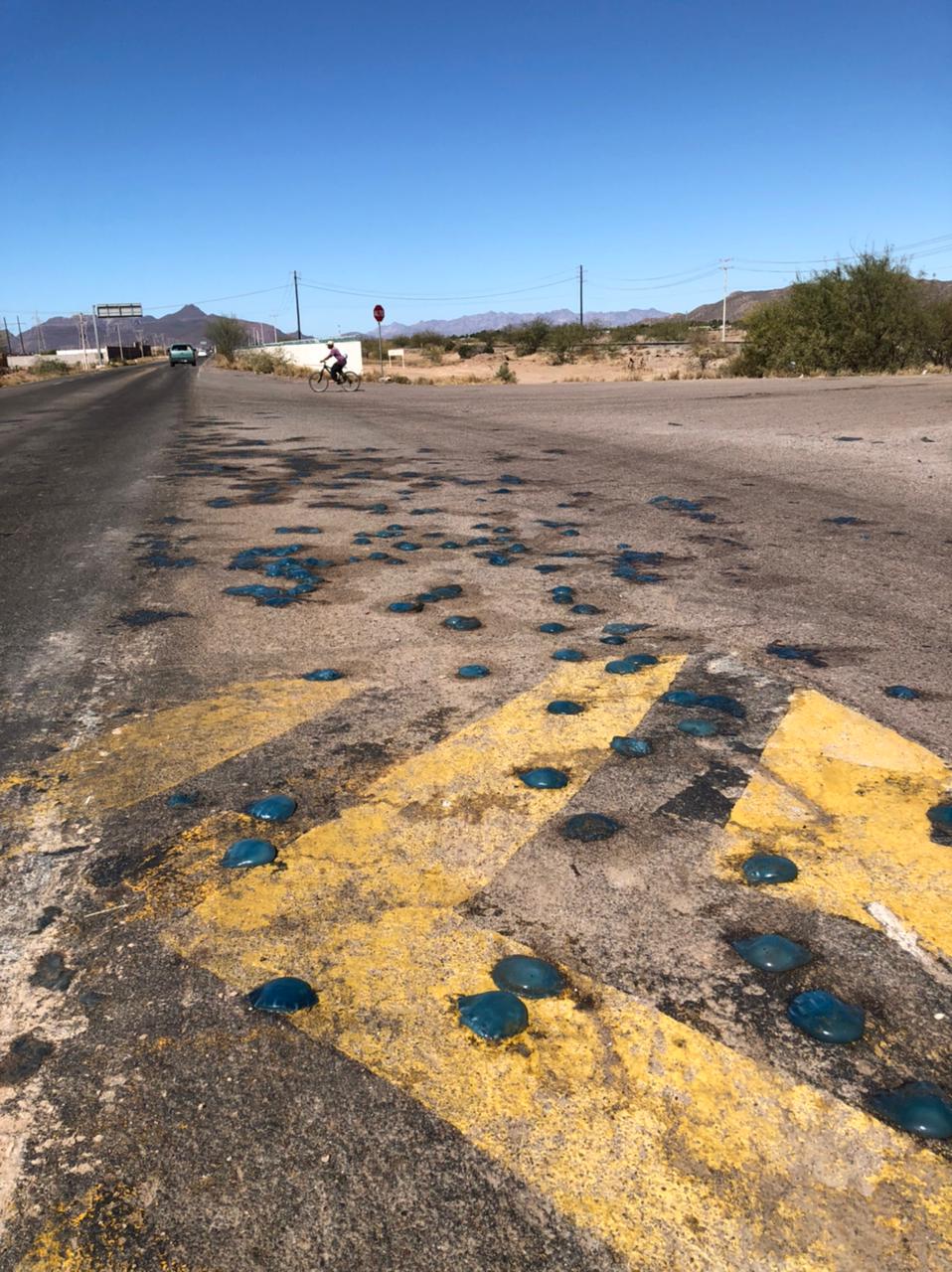 Provocan transportistas contaminación