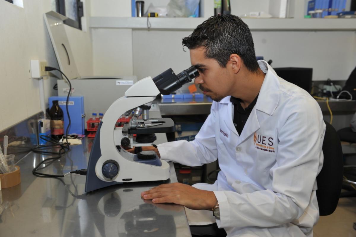 Tiene la UES posgrados con la industria y los sectores productivos de la región