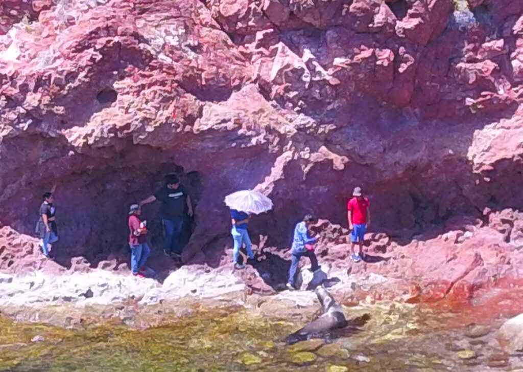 98caebb4 61c5 4c03 abaf 5c6cf2dee8a7