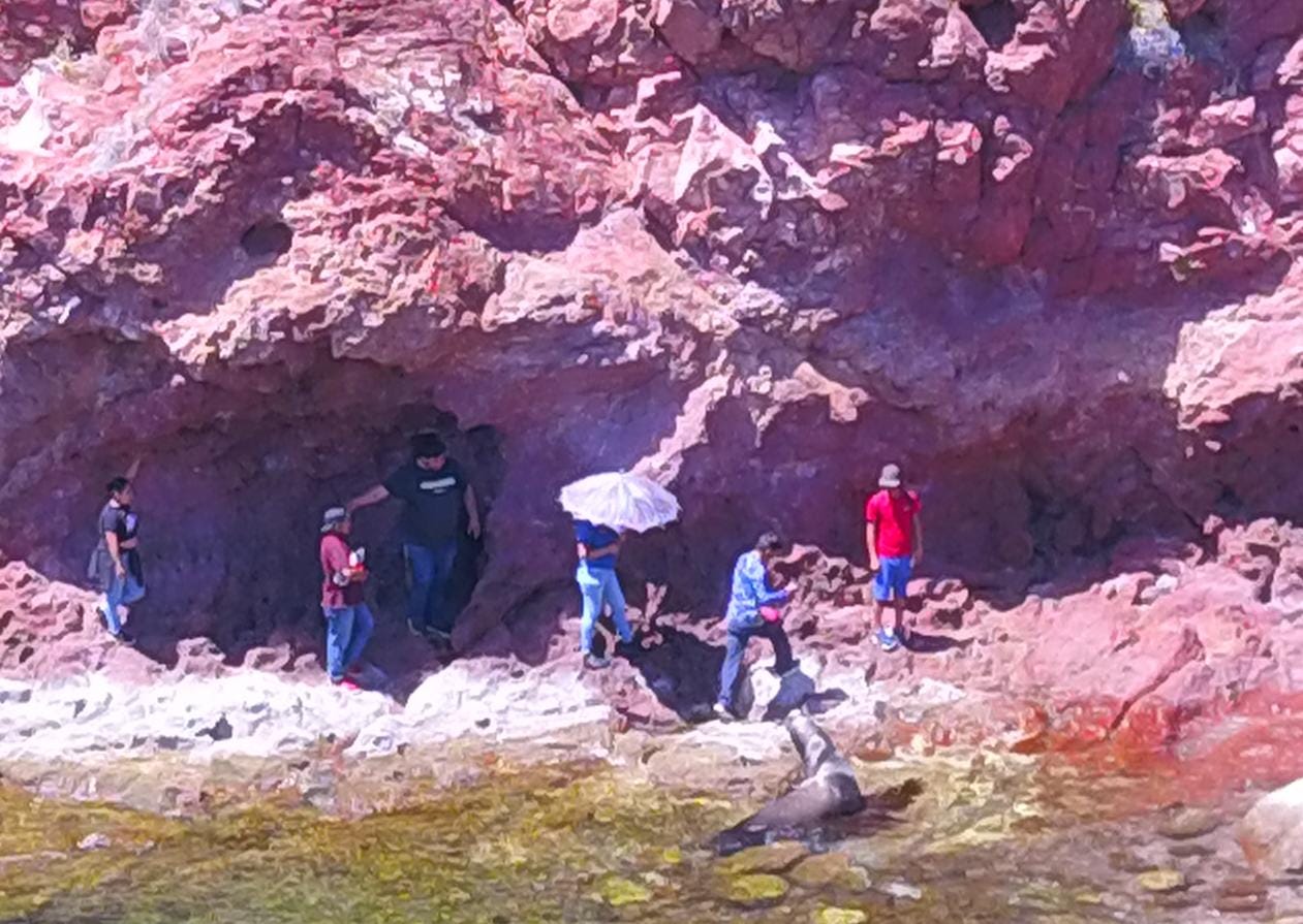 Familias disfrutan de la playa “Carricito”