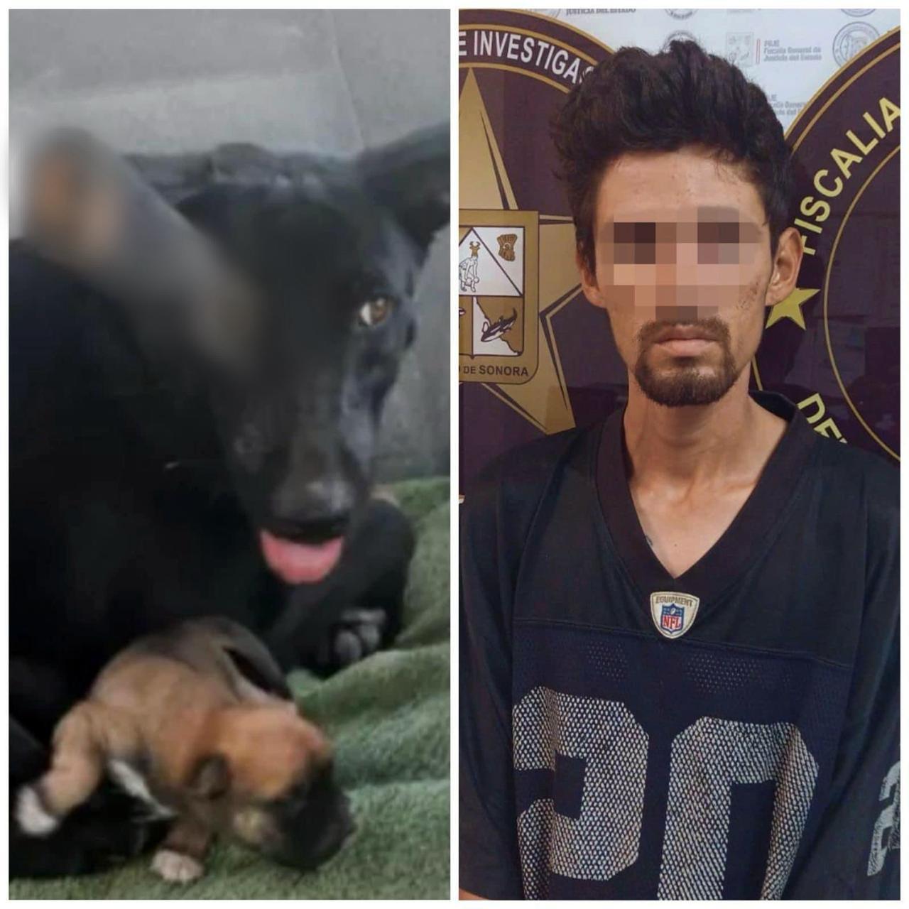 Condena de 2 años y 6 meses de prisión para agresor de “Negrita”