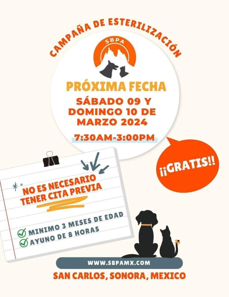 Habrá jornada de esterilización 1 IMG 20240304 WA01991