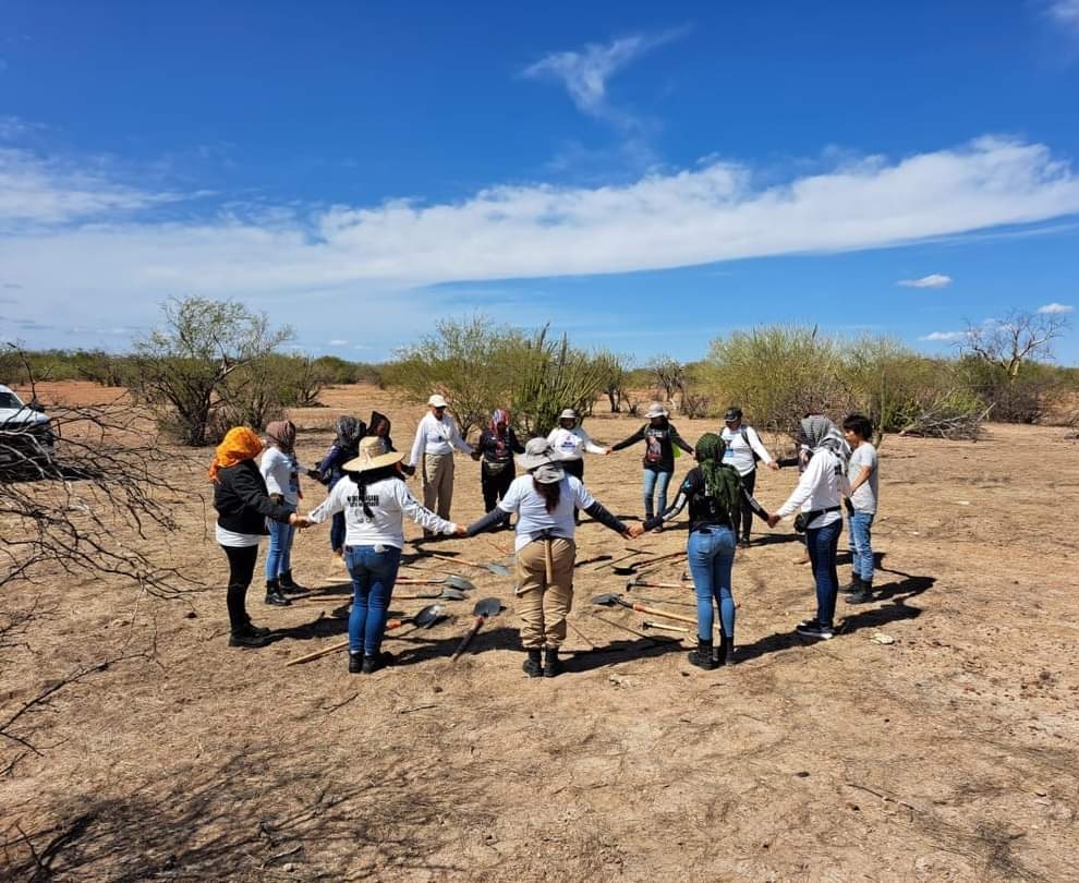 Sigue mega búsqueda