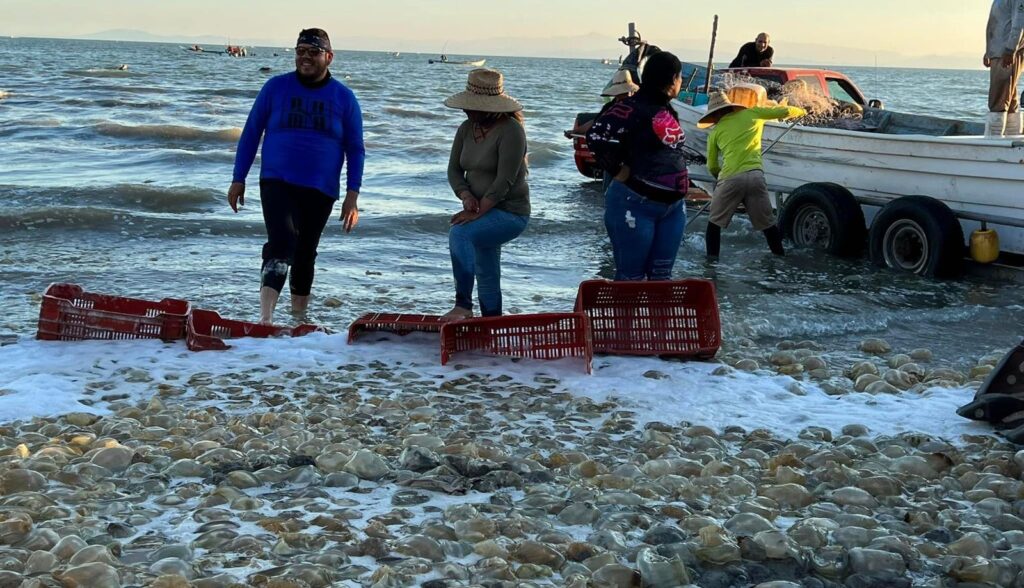 WhatsApp Image 2024 03 13 at 9.19.43 AM