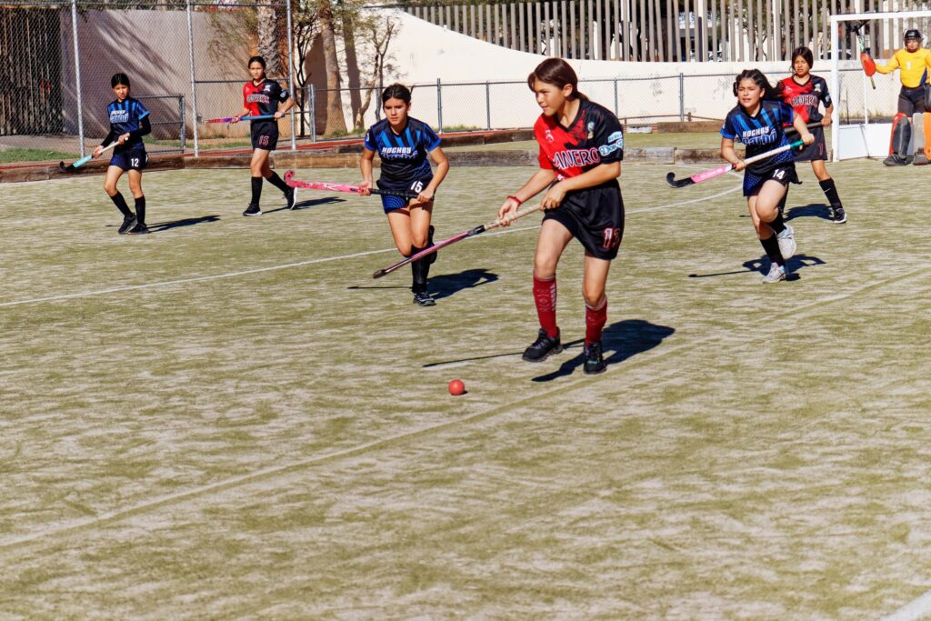 hockey 2