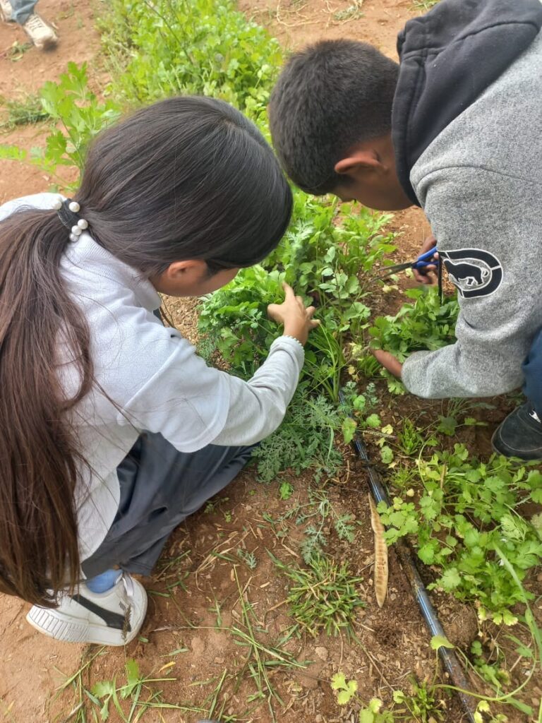 17 abril continua adelante el proyecto de huertos escolares en escuelas