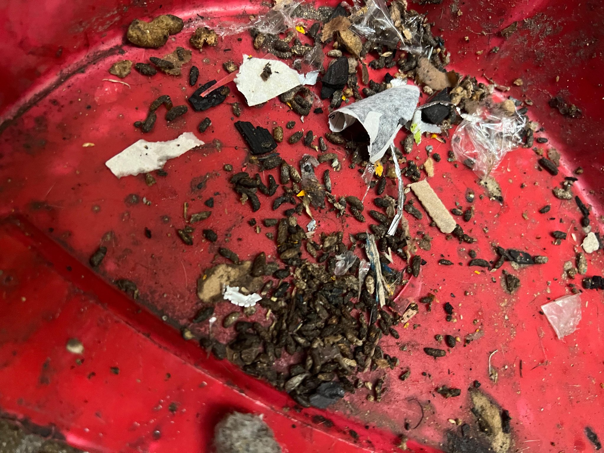 Coesprisson perdona a Walmart