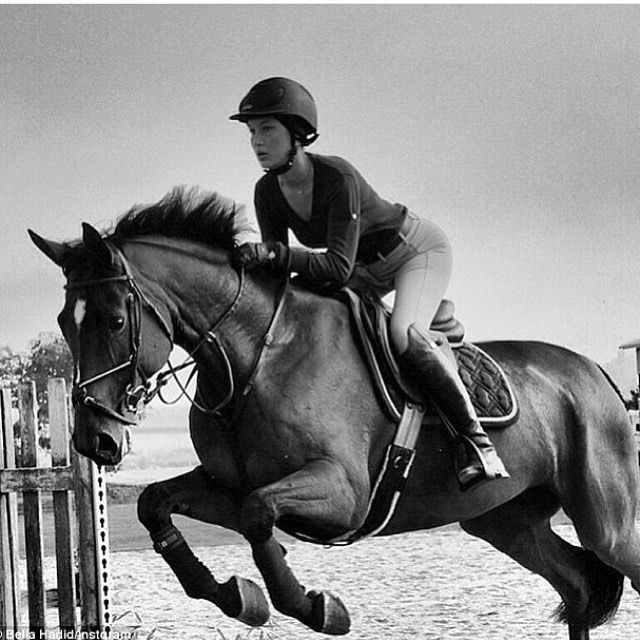 7b066b1e7e1b08a2c12d6931810e3f63 1