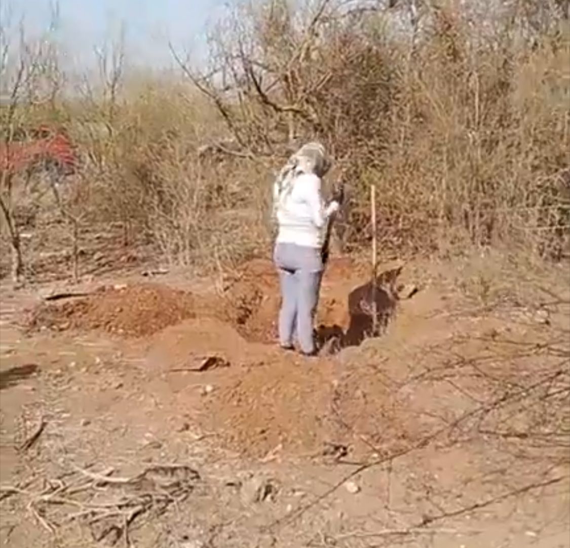 Localizan restos de mujer en fosa en Vicam