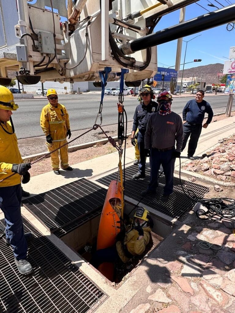 WhatsApp Image 2024 04 10 at 10.21.14 AM 1