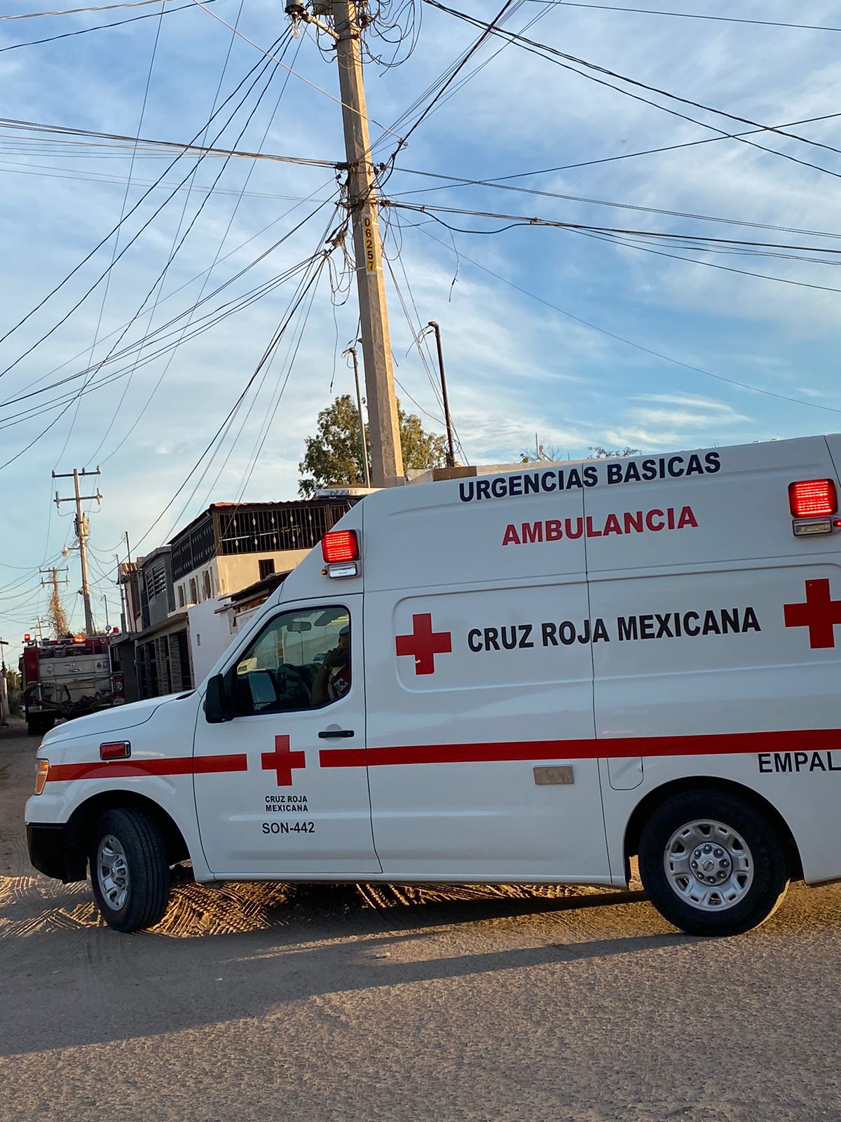 Atacan abejas a empalmenses