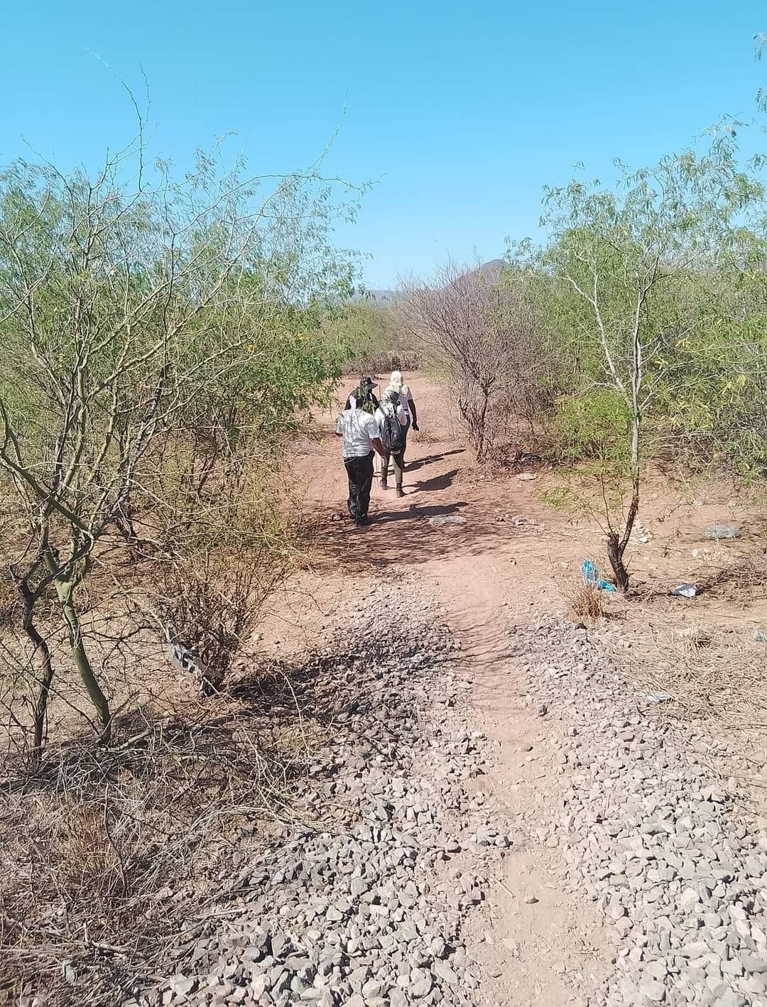 Localizan restos humanos