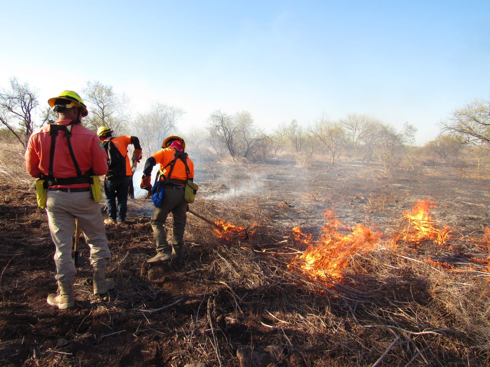 Personal De Sedena Y La Brigada Estatal De Manejo De Fuego, Controlan Y Liquidan Incendio Forestal En Quiriego