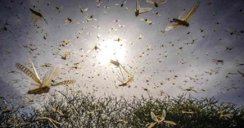 YBODQ7KGTBH25KNJBTDG7UVBDQ 1