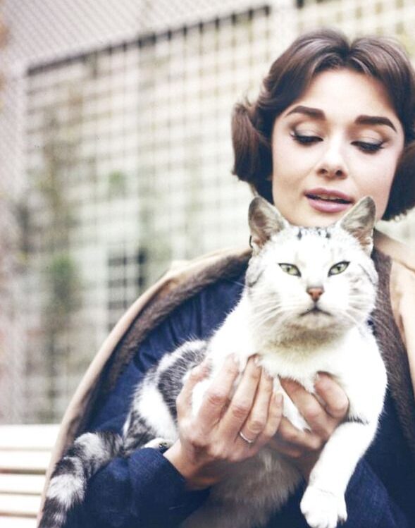 b453f758cb9584f3a573af158374b1e4 e1712711738634