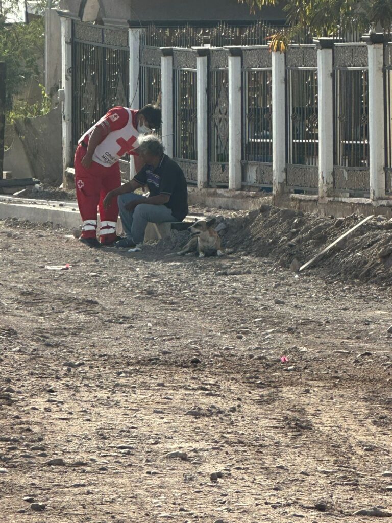 f4243578 eb05 4fad 865a 98b4c274b2c3