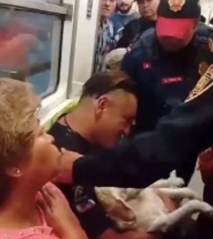El día de hoy en el metro de la CDMX: Policías sacan ‘arrastrando’ a hombre con perro herido