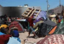 Ante operativos en trenes miles de migrantes acampan en Chihuahua