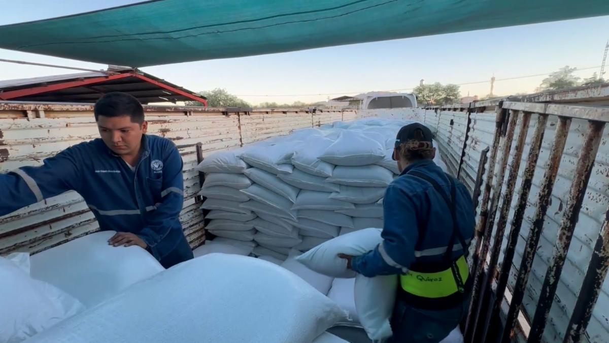 Cerca de 300 toneladas de alimento proteínico han sido entregadas a pequeños ganaderos