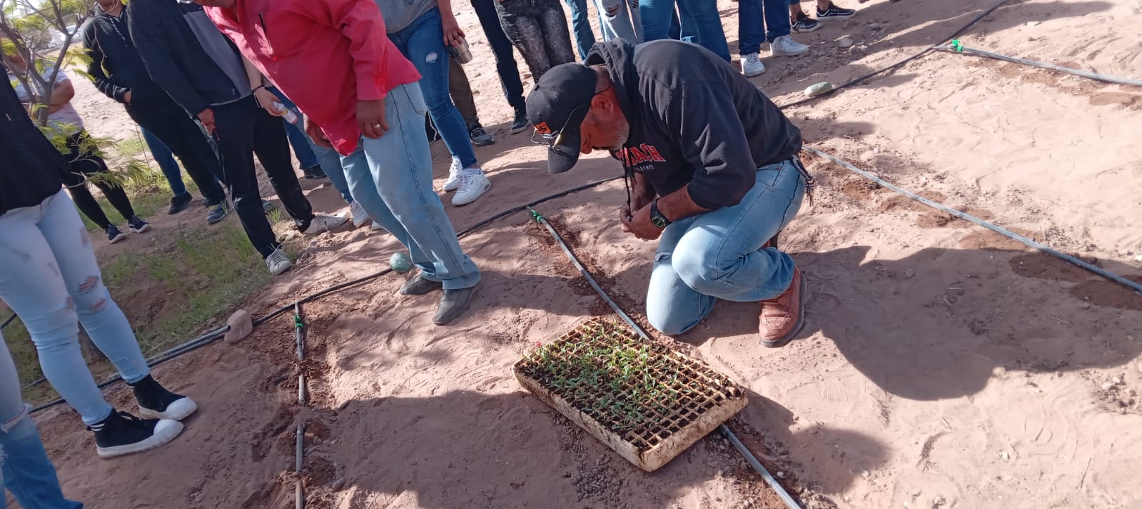 Siguen manteniendo impulso a huertos escolares en escuelas de Empalme
