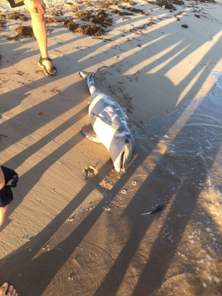 2bd90991 78af 4087 8554 9ecee7e82b0f