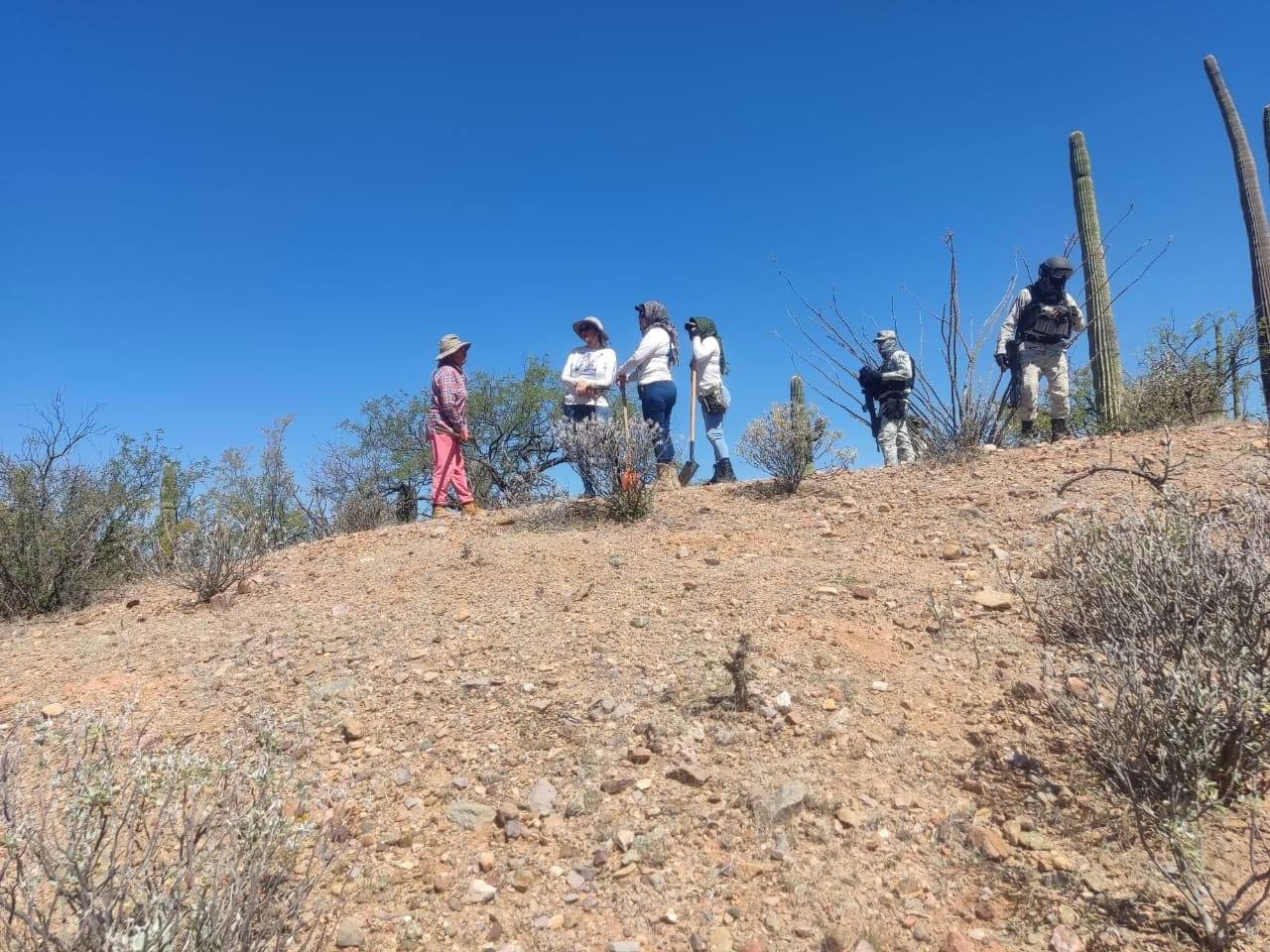 Disminuyen desapariciones de personas en la región