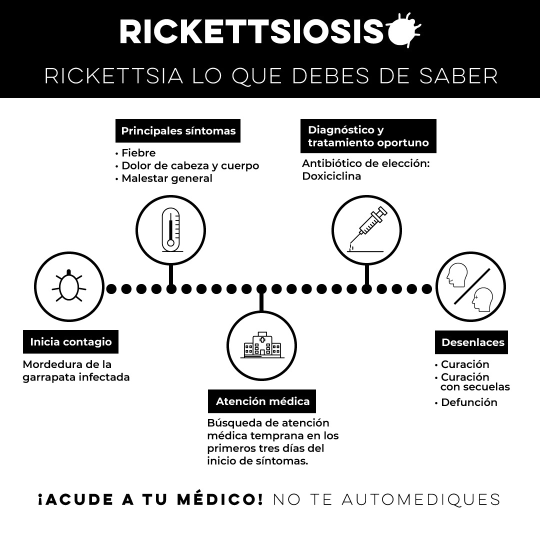 Insta Salud Sonora a prevenir la rickettsia manteniendo los hogares limpios
