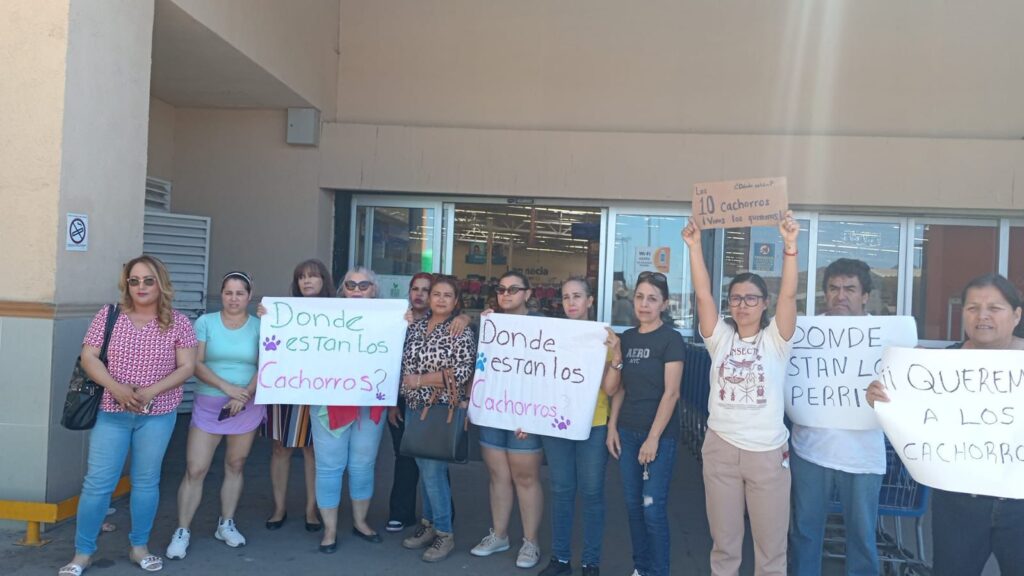 WhatsApp Image 2024 05 14 at 11.41.52 AM