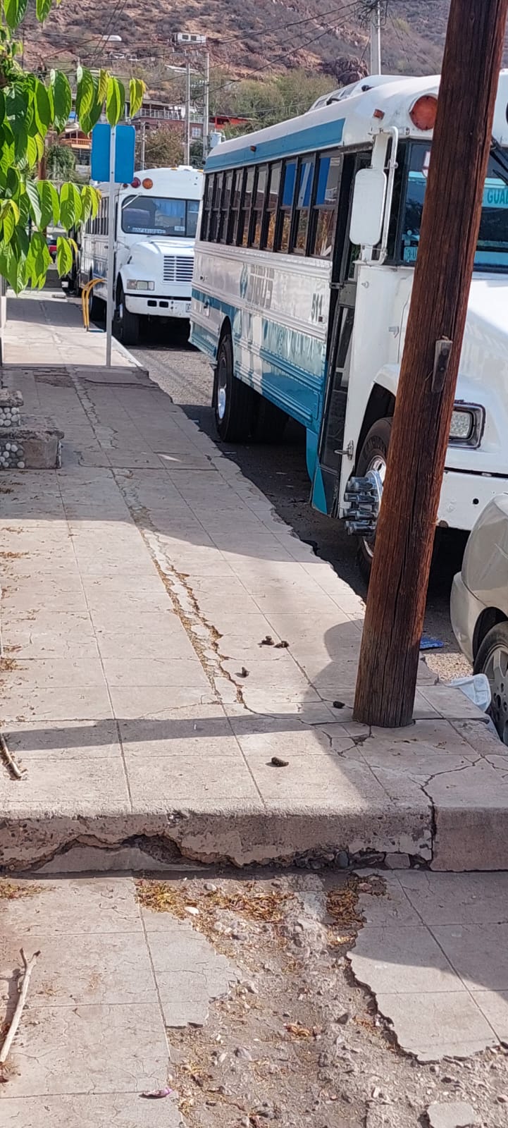 Atiende Ecología problemáticas sociales en la colonia Centro