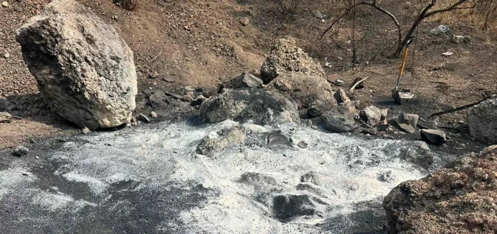 ceci flores presunto crematorio tlahuac iztapalapa cdmx e1714678007886