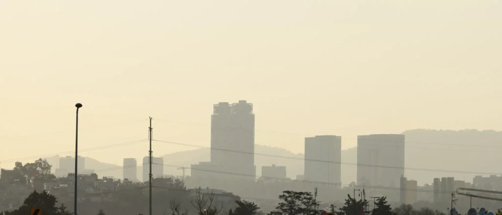 contingencia 1 scaled 1 1 e1714854059667