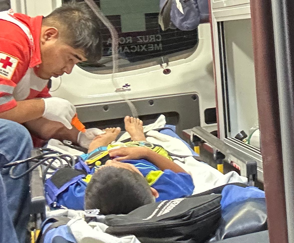 Ataca víbora de cascabel a menor