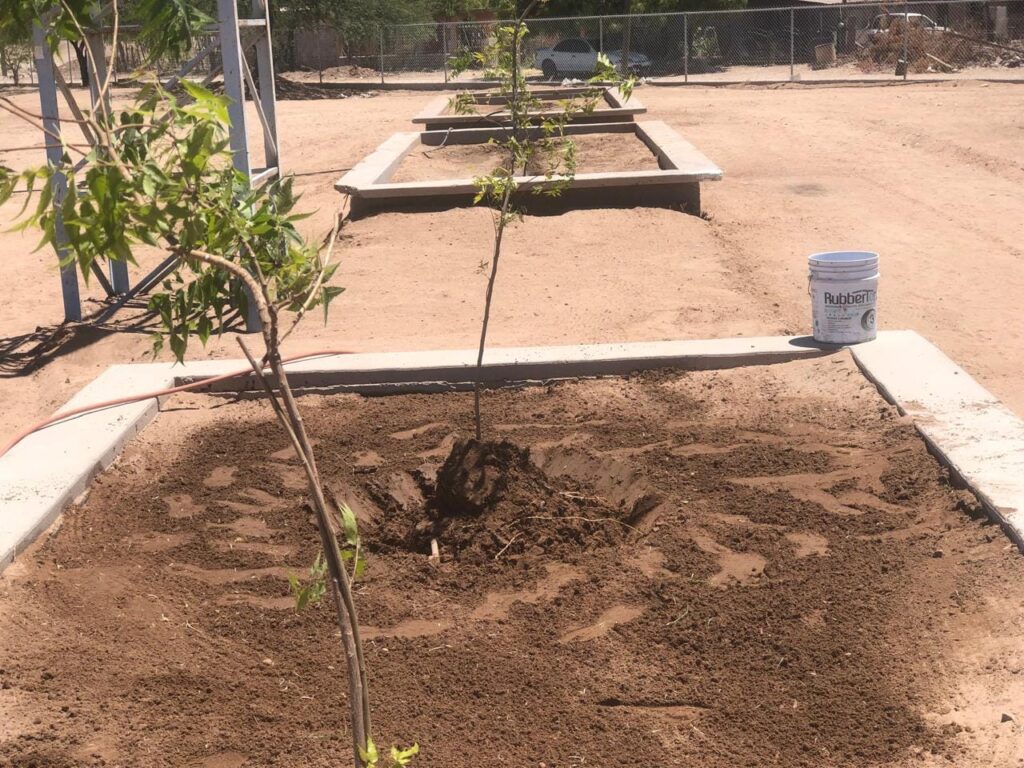 11 juniuo impulsan el medio ambiente en la unidad depportiva municipal