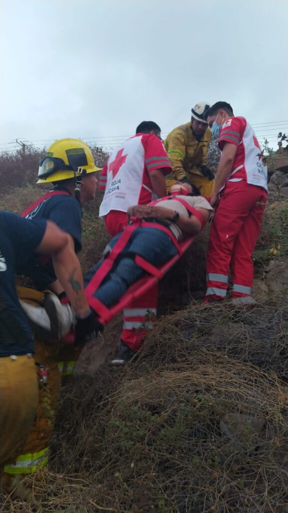 33d6f2d7 784f 4277 b64c 58224a60c120