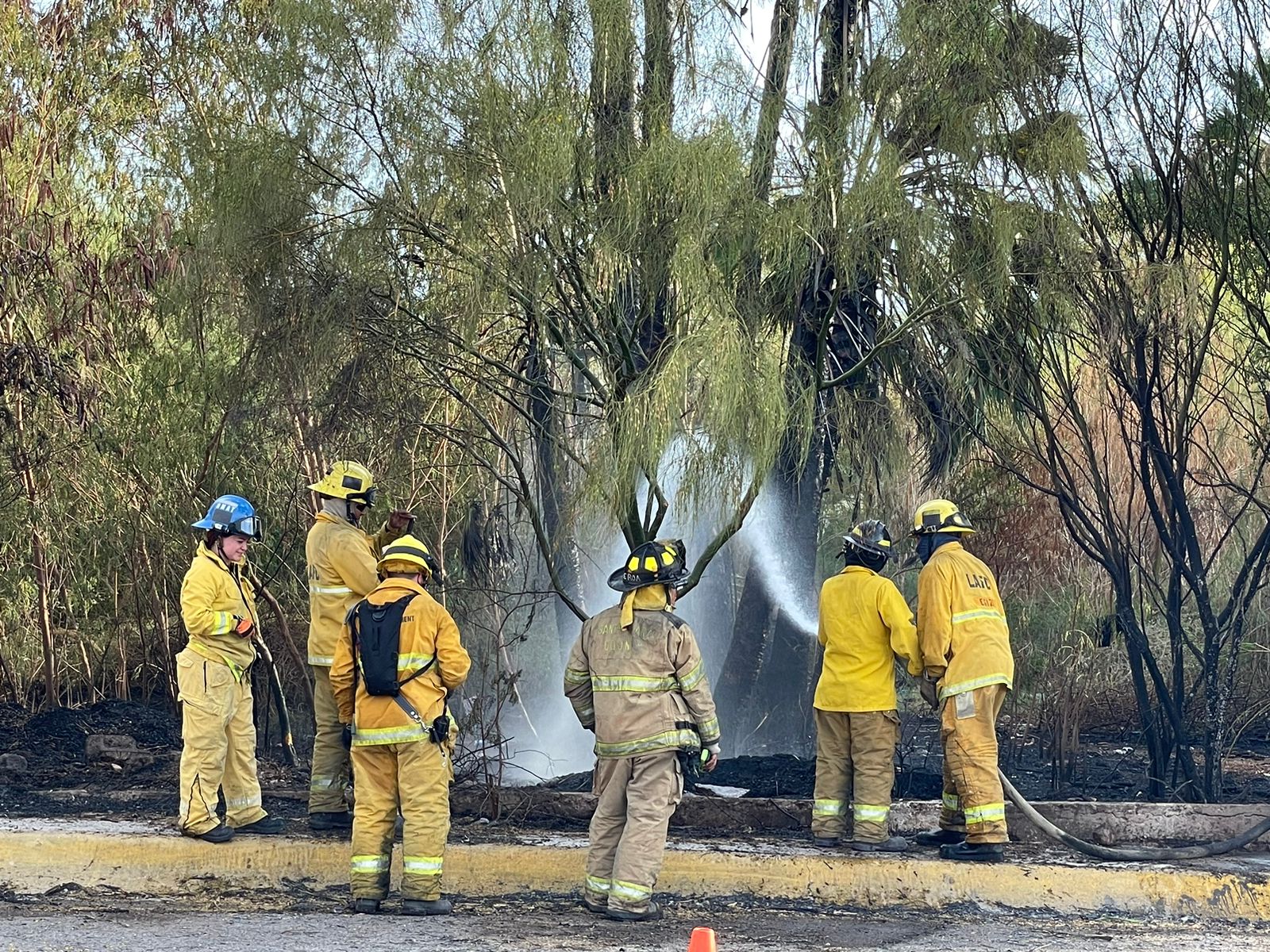 Controlan Bomberos incendio forestal