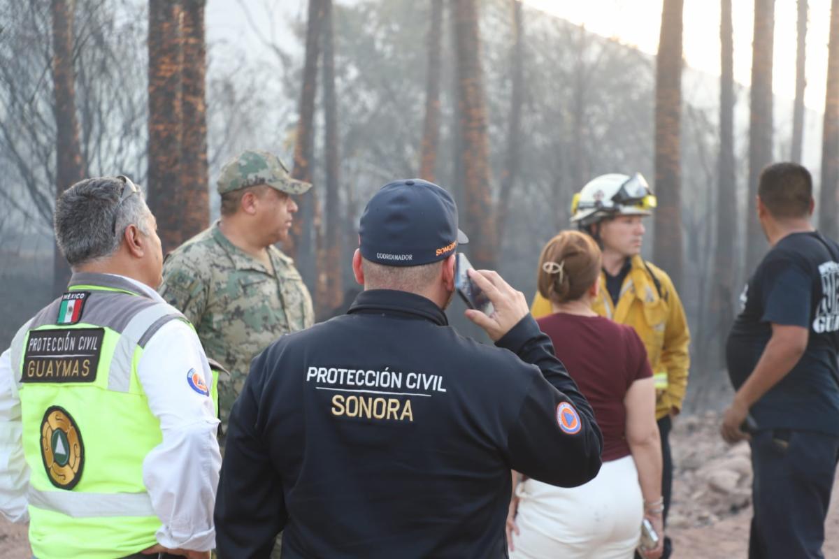 Llama Protección Civil a prevenir incendios forestales