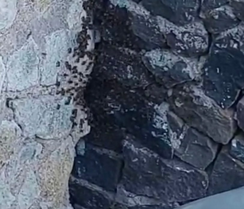 Screenshot 20240625 171230