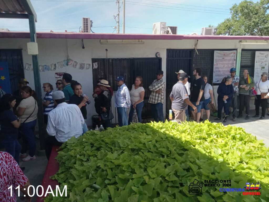 WhatsApp Image 2024 06 02 at 10.58.57 AM 3 3